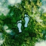 8 habitudes quotidiennes à adopter pour préserver la planète