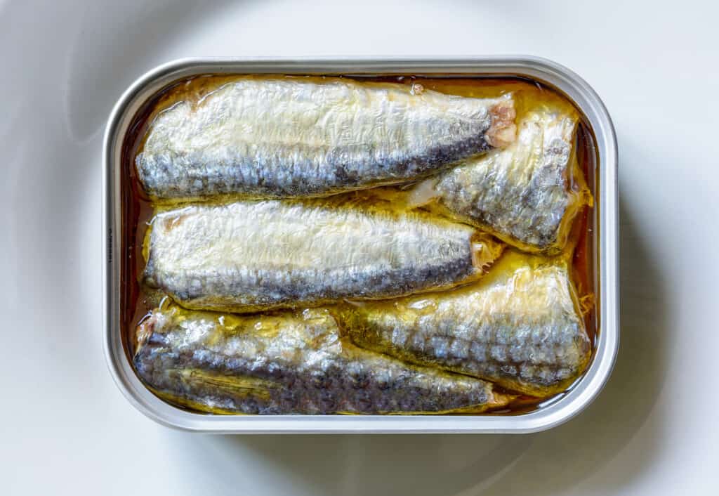 Une boîte ouverte de sardines à l'huile sur une assiette blanche vue de dessus.