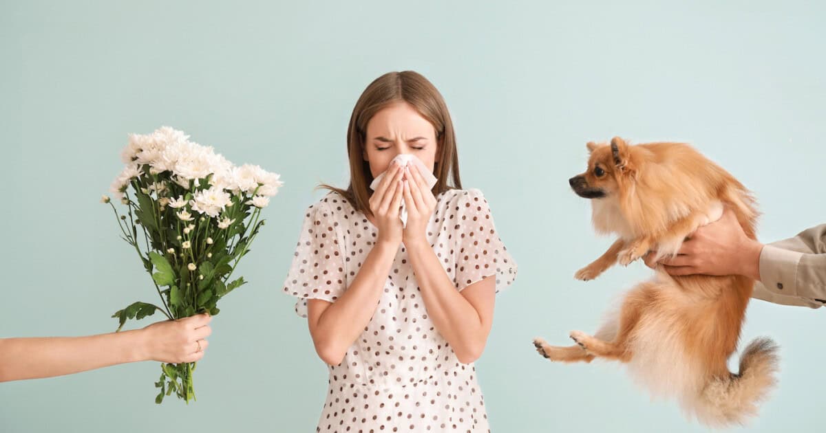 Personnes donnant des fleurs et un chien à une jeune femme souffrant d'allergie sur fond clair