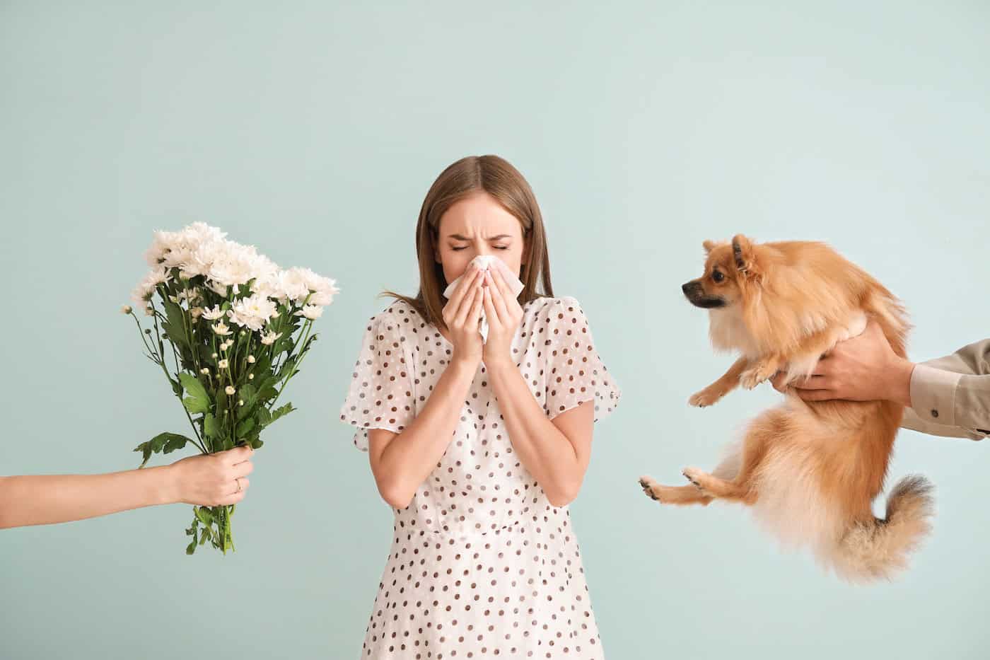 Personnes donnant des fleurs et un chien à une jeune femme souffrant d'allergie sur fond clair