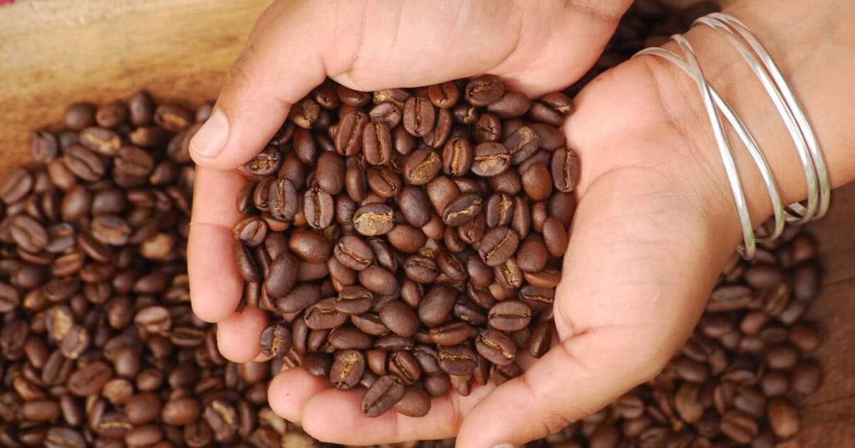 cafe bio pourquoi et comment