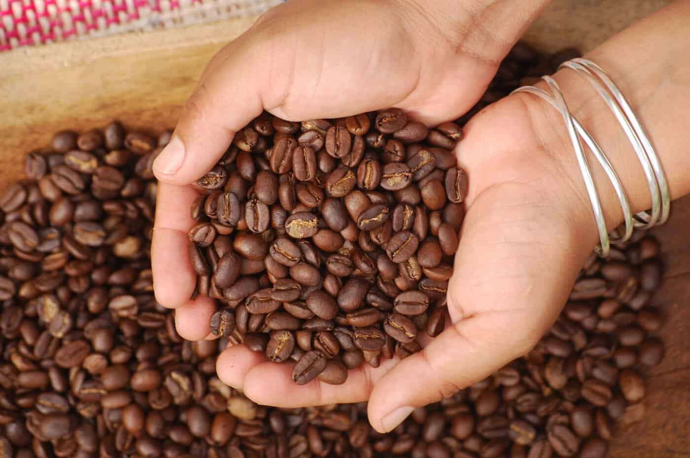 cafe bio pourquoi et comment