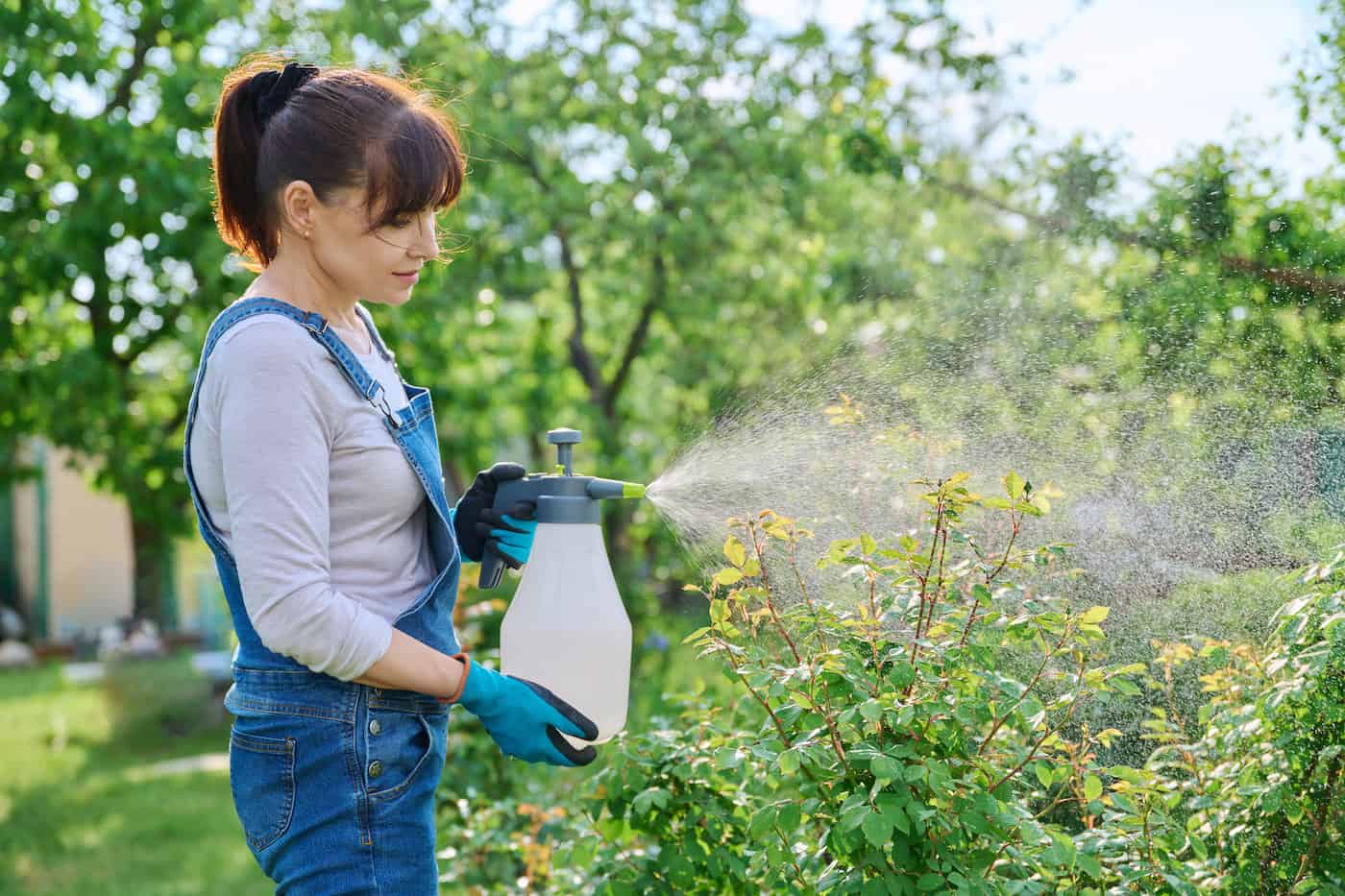 Désherbant naturel : 7 solutions efficaces contre les mauvaises herbes