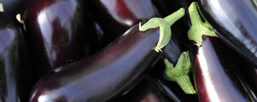 fruits légumes aubergines