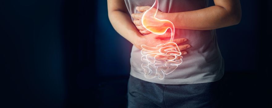 graines de basilic bienfaits améliorer le transit intestinal