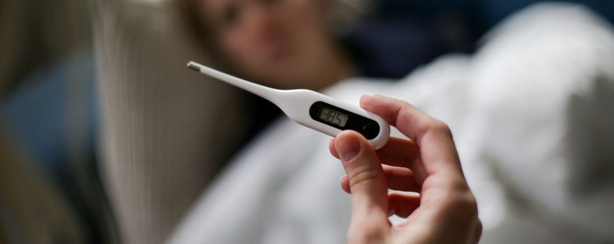 graines de basilic bienfaits préserver des maladies