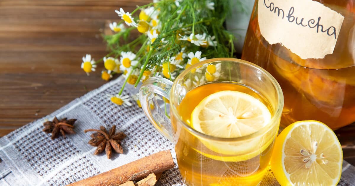 kombucha