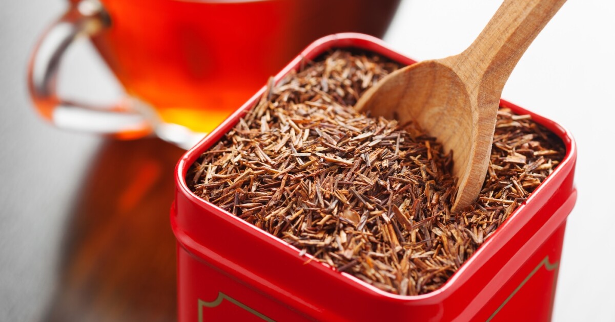 Rooibos dans une boîte à thé en gros plan