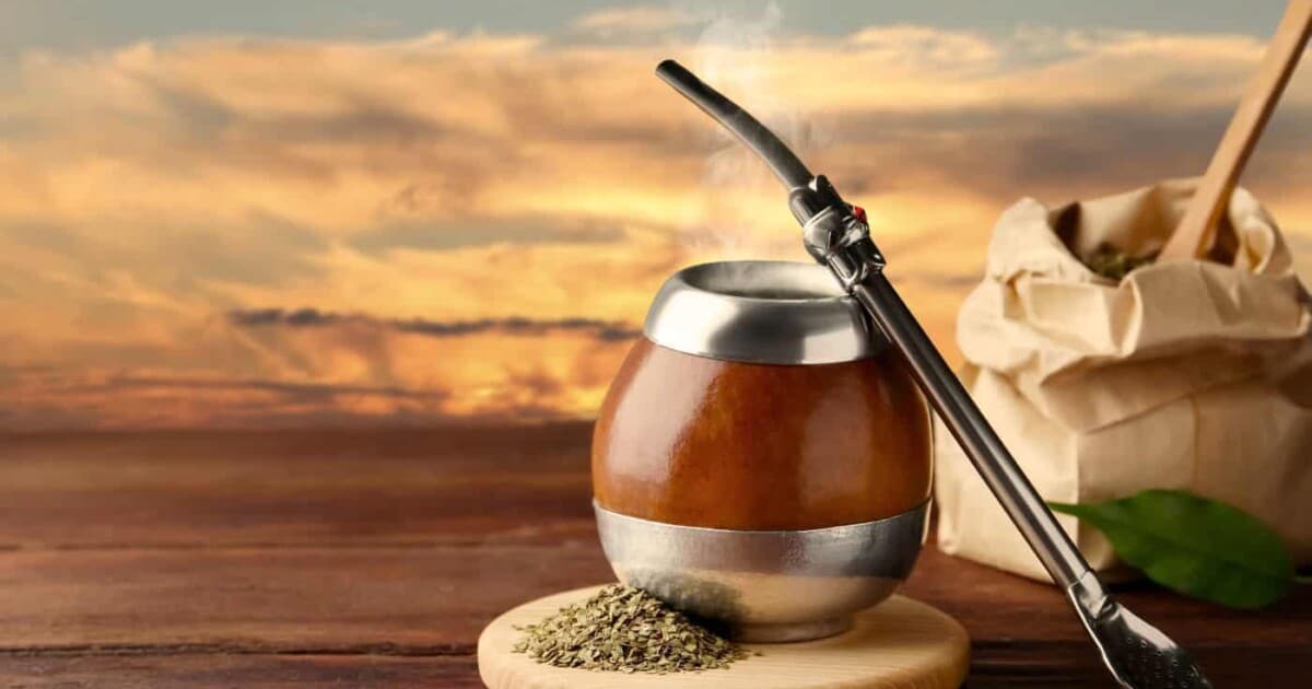 Maté bienfaits