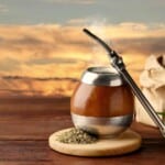 Maté bienfaits