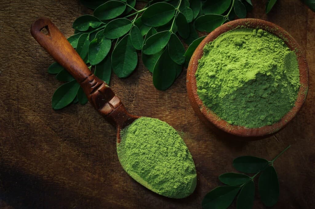 moringa bienfaits