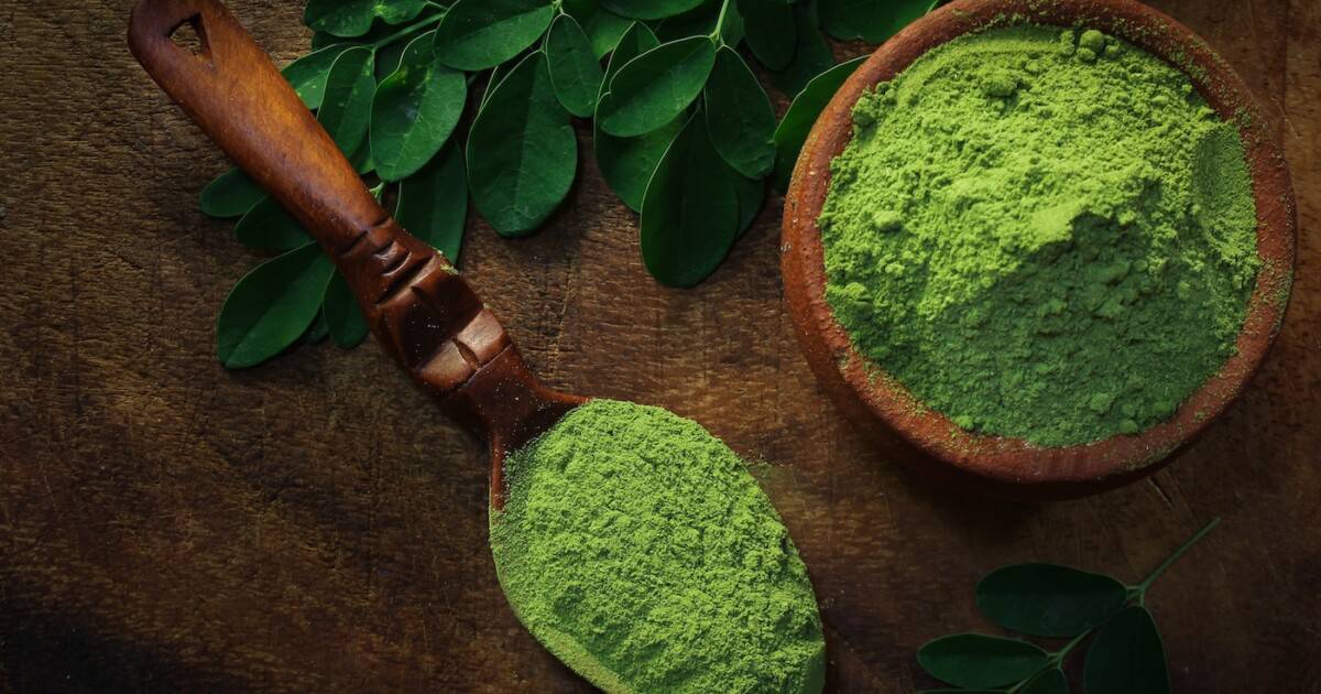 moringa bienfaits