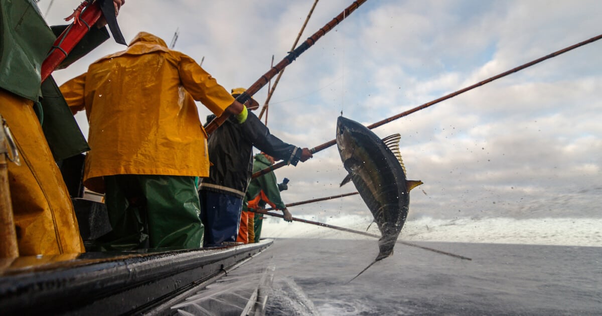 pêche durable