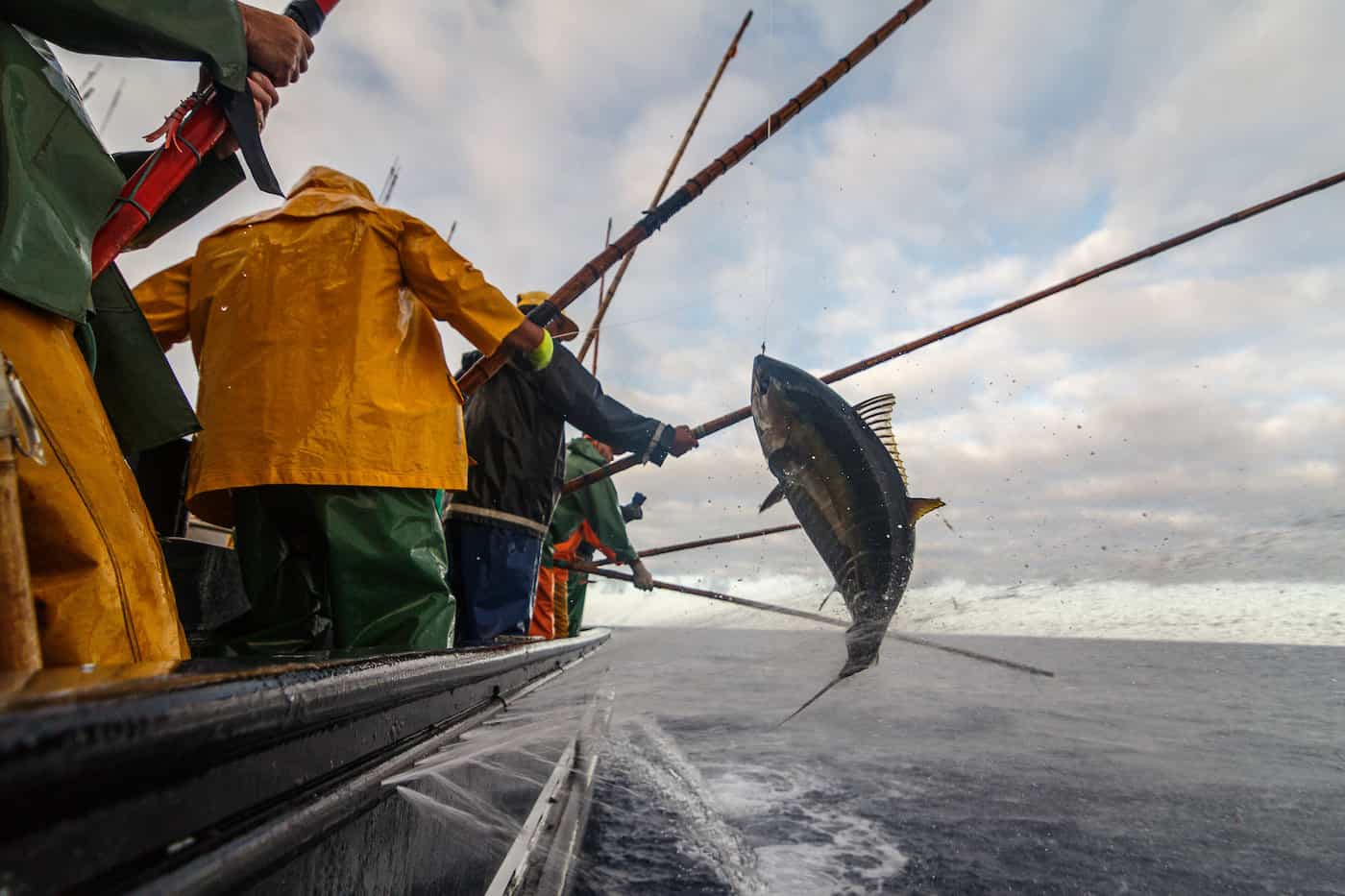 Bien organiser ses boîtes de pêche - Peche et Poissons