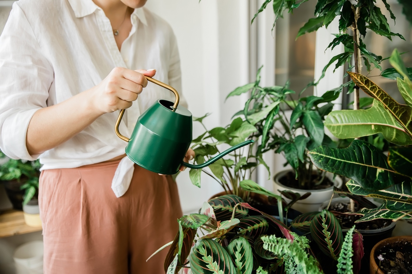 jeune femme arrosant les plantes de la maison