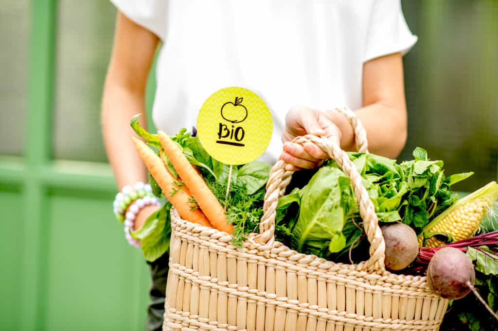 panier de légumes bio