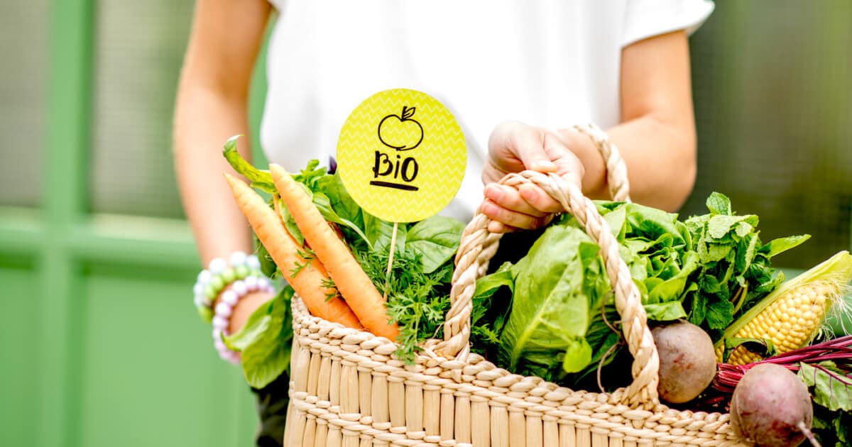 panier de légumes bio