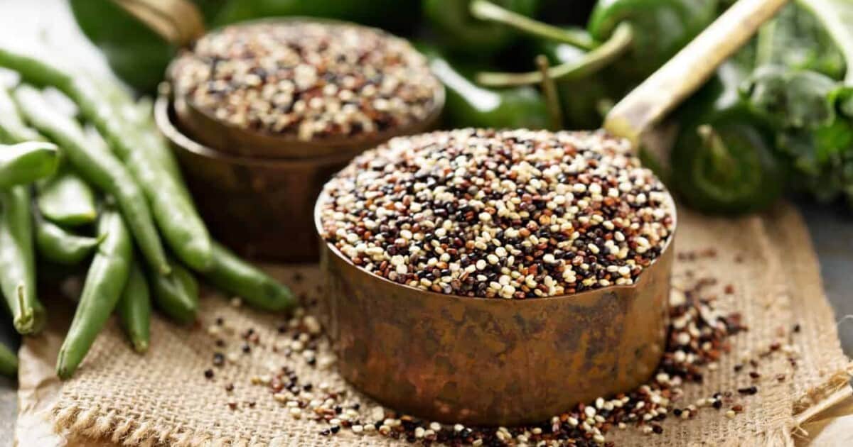 quinoa bienfaits