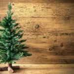 Sapin de Noël écologique