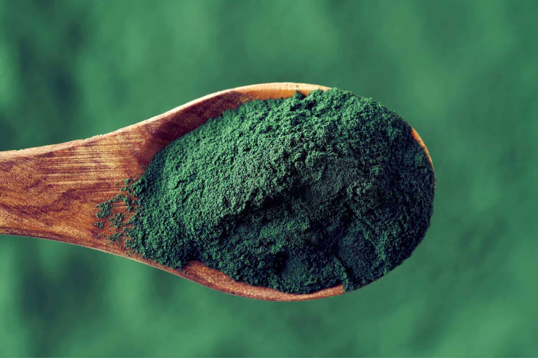 spiruline bienfaits