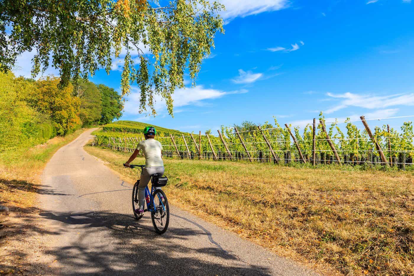 Jeune femme cycliste le long de la Route des Vins d'Alsace près du village de Riquewihr, France